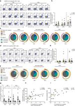 IL-2 Antibody in Flow Cytometry (Flow)