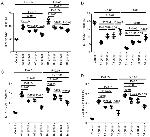 IFN gamma Antibody in Flow Cytometry (Flow)