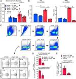 IL-1 beta (Pro-form) Antibody in Flow Cytometry (Flow)