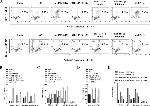 IFN gamma Antibody in Flow Cytometry (Flow)