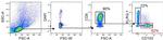 KLRG1 Antibody in Flow Cytometry (Flow)