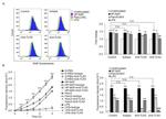 CD284 (TLR4) Antibody in Neutralization (Neu)