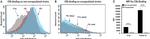 Complement C3b Antibody in Flow Cytometry (Flow)