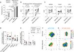 CD3 Antibody in Flow Cytometry (Flow)