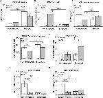 Ki-67 Antibody in Immunohistochemistry (IHC)