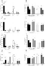 Estrogen Receptor alpha Antibody in Western Blot (WB)