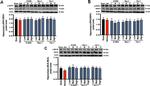 Phospho-MLKL (Ser358) Antibody in Western Blot (WB)