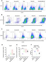 CD68 Antibody in Flow Cytometry (Flow)