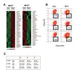 CD24 Antibody in Flow Cytometry (Flow)