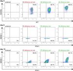 CXCR4 Antibody in Flow Cytometry (Flow)