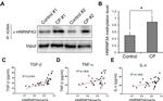 hnRNP A3 Antibody in Western Blot (WB)