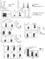 ROR gamma (t) Antibody in Flow Cytometry (Flow)