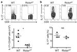 TCR beta Antibody in Flow Cytometry (Flow)