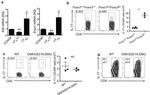 TCR beta Antibody in Flow Cytometry (Flow)