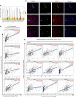 EOGT Antibody in Immunohistochemistry (IHC)