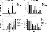 CD14 Antibody in Flow Cytometry (Flow)