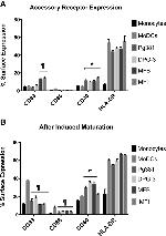 CD83 Antibody in Flow Cytometry (Flow)