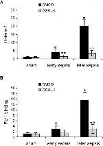 PU.1 Antibody in Immunoprecipitation (IP)