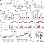 CD4 Antibody in Flow Cytometry (Flow)