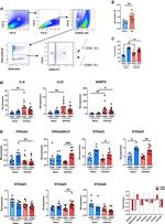 CD31 (PECAM-1) Antibody in Flow Cytometry (Flow)