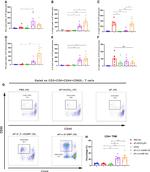 CD69 Antibody in Flow Cytometry (Flow)