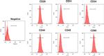 CD90.1 (Thy-1.1) Antibody in Flow Cytometry (Flow)