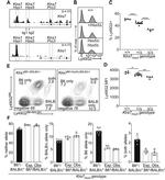 Ly-49G2 Antibody in Flow Cytometry (Flow)