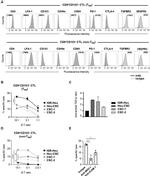 CD152 (CTLA-4) Antibody in Flow Cytometry (Flow)