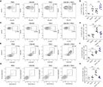 Gata-3 Antibody in Flow Cytometry (Flow)