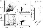 CD223 (LAG-3) Antibody in Flow Cytometry (Flow)