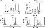 CD274 (PD-L1, B7-H1) Antibody in Flow Cytometry (Flow)