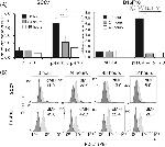 CD274 (PD-L1, B7-H1) Antibody in Flow Cytometry (Flow)