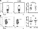 IL-10 Antibody in Flow Cytometry (Flow)