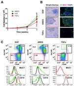 CD49f (Integrin alpha 6) Antibody in Flow Cytometry (Flow)