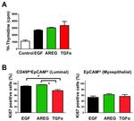 CD49f (Integrin alpha 6) Antibody in Flow Cytometry (Flow)