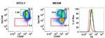 CD49f (Integrin alpha 6) Antibody in Flow Cytometry (Flow)