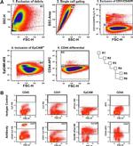 CD326 (EpCAM) Antibody in Flow Cytometry (Flow)