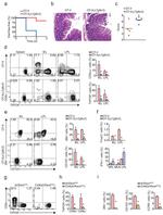 CD45.2 Antibody in Flow Cytometry (Flow)