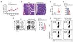 CD45.1 Antibody in Flow Cytometry (Flow)