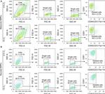 CD31 (PECAM-1) Antibody in Flow Cytometry (Flow)