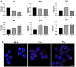 iNOS Antibody in Immunocytochemistry (ICC/IF)