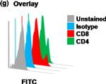 Mouse IgG2a Isotype Control in Flow Cytometry (Flow)