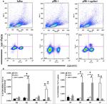 ROR gamma (t) Antibody in Flow Cytometry (Flow)