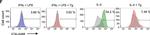 Mouse IgG (H+L) Cross-Adsorbed Secondary Antibody in Flow Cytometry (Flow)