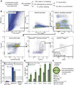 CD24 Antibody in Flow Cytometry (Flow)