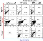 Ly-6G/Ly-6C Antibody in Flow Cytometry (Flow)