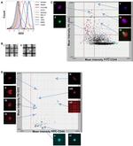 CD45 Antibody in Immunocytochemistry, Flow Cytometry (ICC/IF, Flow)