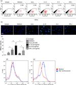 CD117 (c-Kit) Antibody in Flow Cytometry (Flow)