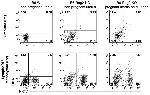 NK1.1 Antibody in Flow Cytometry (Flow)