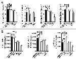 TNF alpha Antibody in Flow Cytometry (Flow)